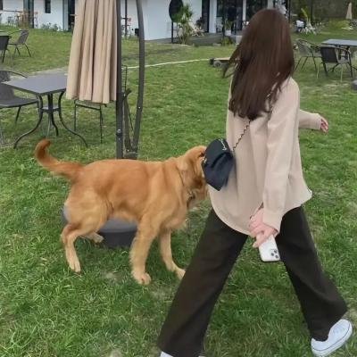限制级战警：重返极限